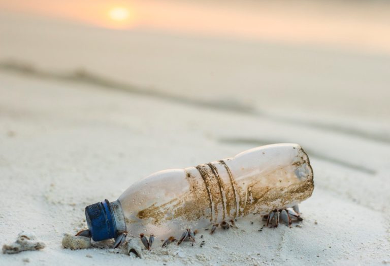 single-use plastic